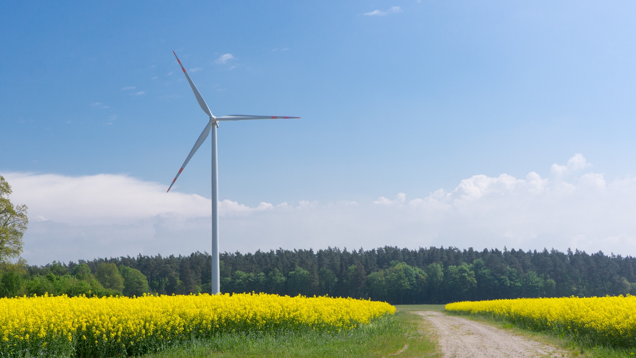 Aldesa - Aldesa will build next 3 wind farms in Poland for 150 million PLN